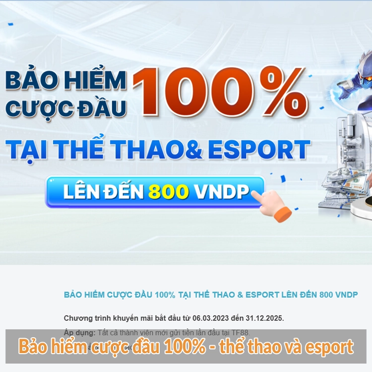 Bảo hiểm cược đầu 100% - thể thao và esport