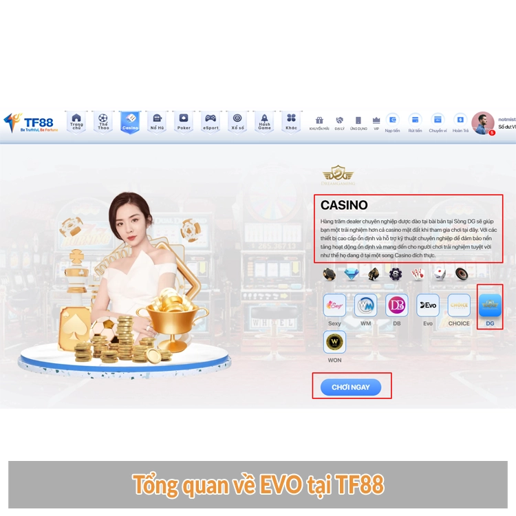 Trải nghiệm thực tế tại EVO Casino – Đánh giá cùng TF88